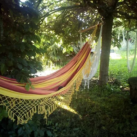Mille Ou Deux Nuits Planioles